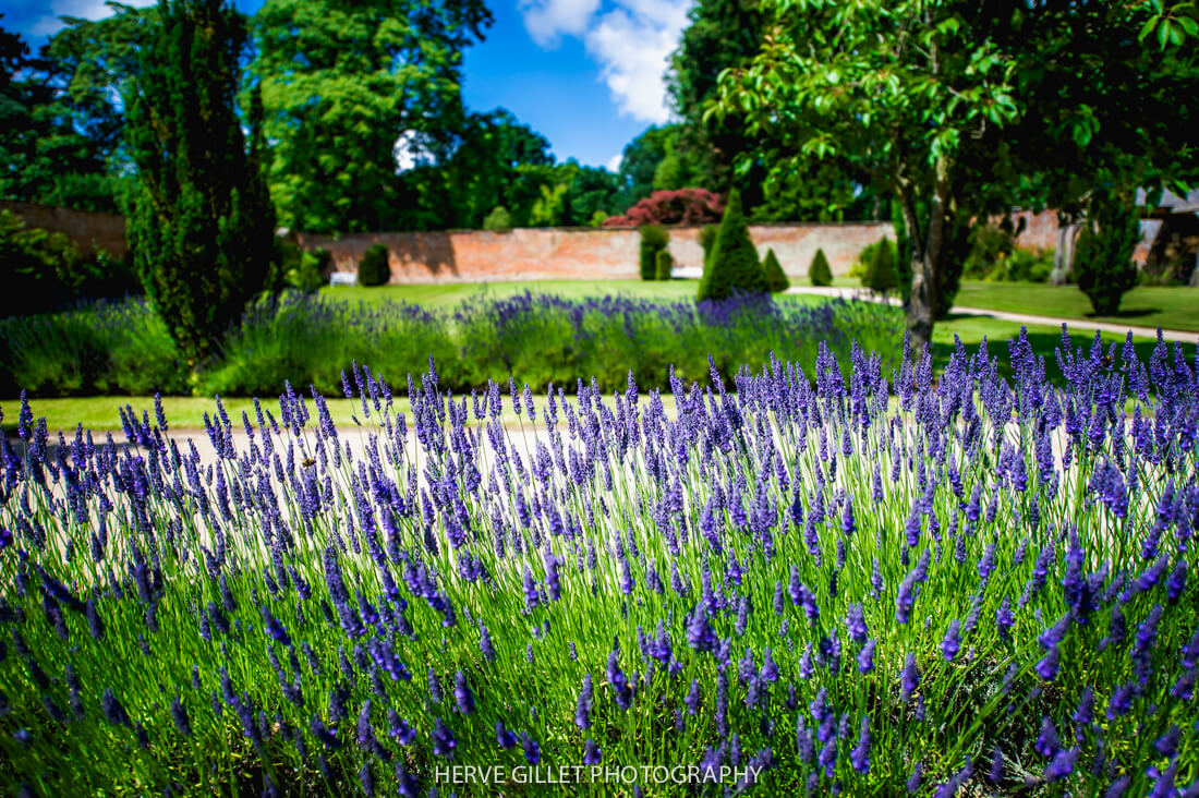 Combermere Abbey Wedding Photography Herve Photography